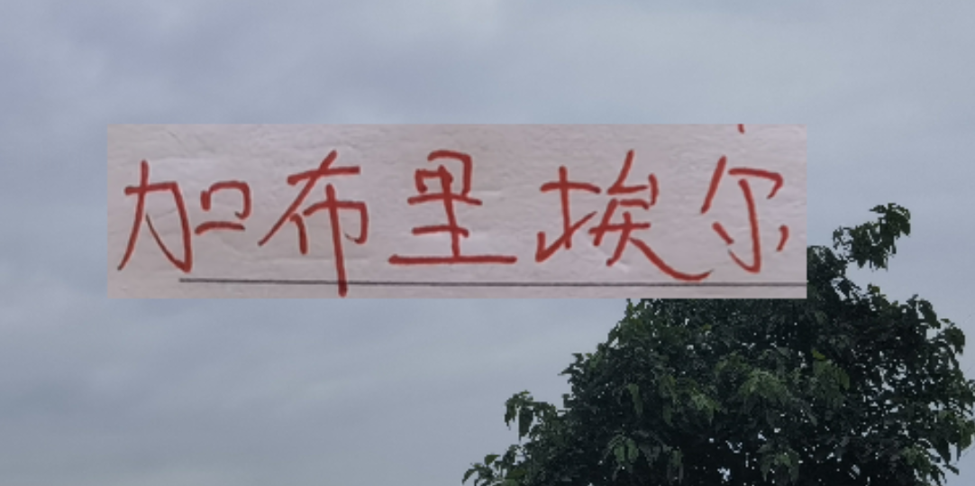 新赛季！海港 申花 北京国安的边锋都是又黑又快的外援